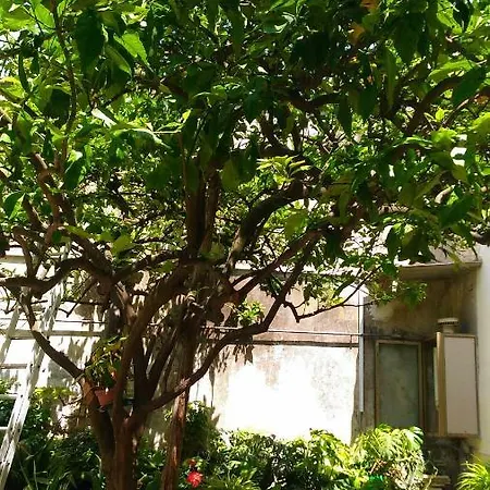 Bed & Breakfast Santa Maria Maddalena