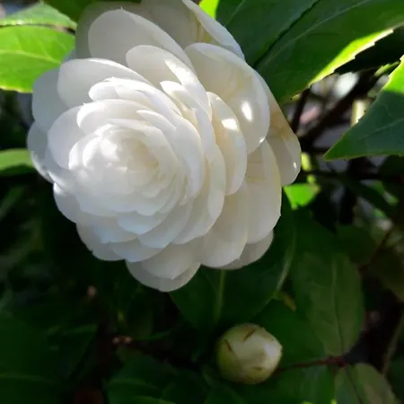 Santa Maria Maddalena 3* Napoli